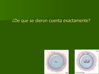 ¿De que se dieron cuenta exactamente? 