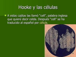 Hooke y las células A estas cajitas las llamó “cell”, palabra inglesa que quiere decir celda. Después “cell” se ha traducido al español por  célula.   