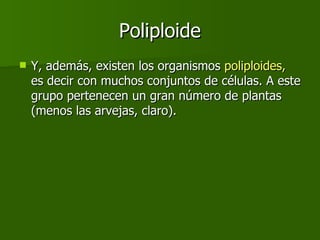 Poliploide Y, además, existen los organismos  poliploides,  es decir con muchos conjuntos de células. A este grupo pertenecen un gran número de plantas (menos las arvejas, claro). 