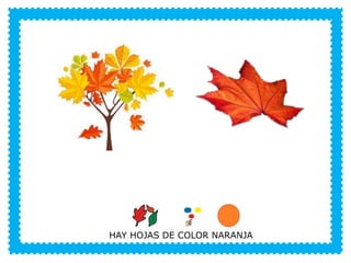 VERANO
HAY HOJAS DE COLOR NARANJA
 