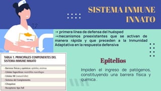 SISTEMA INMUNE
INNATO
→ primera línea de defensa del huésped
→mecanismos preexistentes que se activan de
manera rápida y que preceden a la Inmunidad
Adaptativa en la respuesta defensiva
Epitelios
Impiden el ingreso de patógenos,
constituyendo una barrera física y
química .
 
