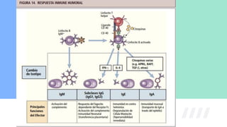 Serie blanca equipe1.pdf