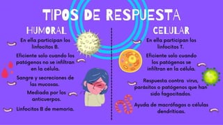 Serie blanca equipe1.pdf