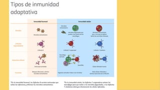 Serie blanca equipe1.pdf