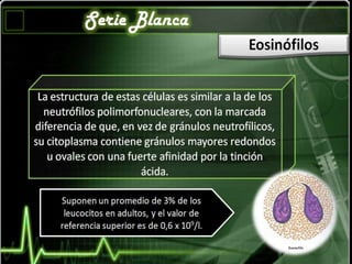 Eosinofilos
 