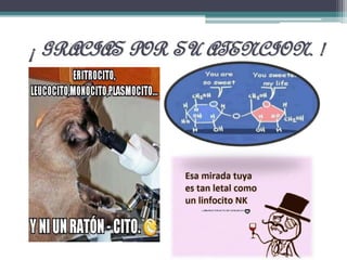 ¡ GRACIAS POR SU ATENCION. !
 