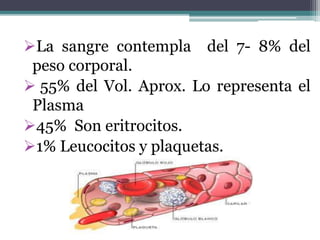 La sangre contempla del 7- 8% del
peso corporal.
 55% del Vol. Aprox. Lo representa el
Plasma
45% Son eritrocitos.
1% Leucocitos y plaquetas.
 