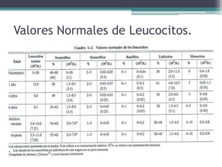 Valores Normales de Leucocitos.
 