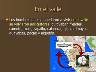 En el valle <ul><li>Los hombres que se quedaron a vivir  en el valle   se volvieron agricultores : cultivaban frejoles, ca...