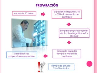 El paciente deglutirá 345
    Ayuno de 12 horas.       a 570 ml. de medio de
                                    contraste




                                  Inmediatamente se toman
                                  de 2 a 3 radiografías (AP y
                                            oblicua)




                              Espera de para dar
     Se realizan las          tiempo al medio de
proyecciones necesarias            contraste



                          Tiempo de estudio:
                            15 a 20 minutos
 