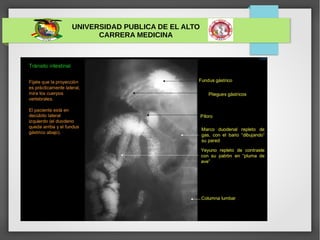 UNIVERSIDAD PUBLICA DE EL ALTO
CARRERA MEDICINA
 