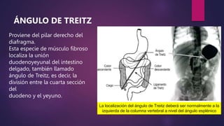 SERIE ESOFAGO GASTRO DUODENAL - copia.pptx