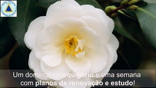 Um domingo de equilíbrio e uma semana
com planos de renovação e estudo!
 