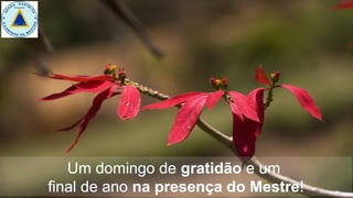 Um domingo de gratidão e um
final de ano na presença do Mestre!
 