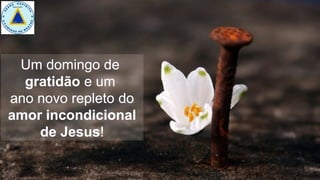 Um domingo de
gratidão e um
ano novo repleto do
amor incondicional
de Jesus!
 