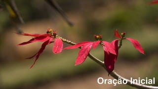 Oração Inicial
 