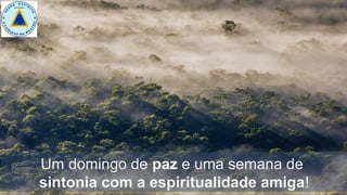 Um domingo de paz e uma semana de
sintonia com a espiritualidade amiga!
 