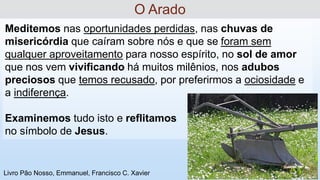 Meditemos nas oportunidades perdidas, nas chuvas de
misericórdia que caíram sobre nós e que se foram sem
qualquer aproveitamento para nosso espírito, no sol de amor
que nos vem vivificando há muitos milênios, nos adubos
preciosos que temos recusado, por preferirmos a ociosidade e
a indiferença.
Examinemos tudo isto e reflitamos
no símbolo de Jesus.
O Arado
Livro Pão Nosso, Emmanuel, Francisco C. Xavier
 