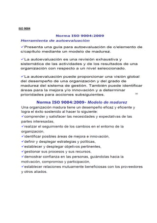 ISO 9004
 