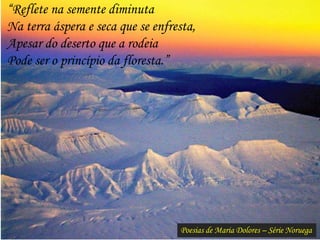 Poesias de Maria Dolores – Série Noruega
“Reflete na semente diminuta
Na terra áspera e seca que se enfresta,
Apesar do deserto que a rodeia
Pode ser o princípio da floresta.”
 