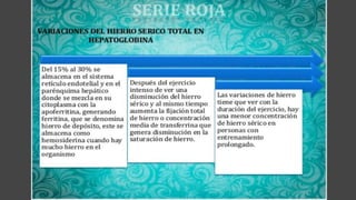 Serie roja