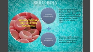 Serie roja