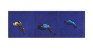 Series fotográficas