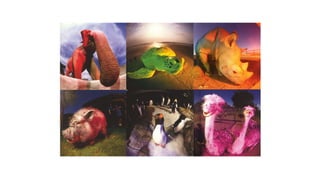 Series fotográficas