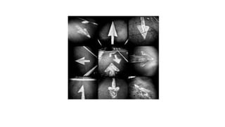 Series fotográficas