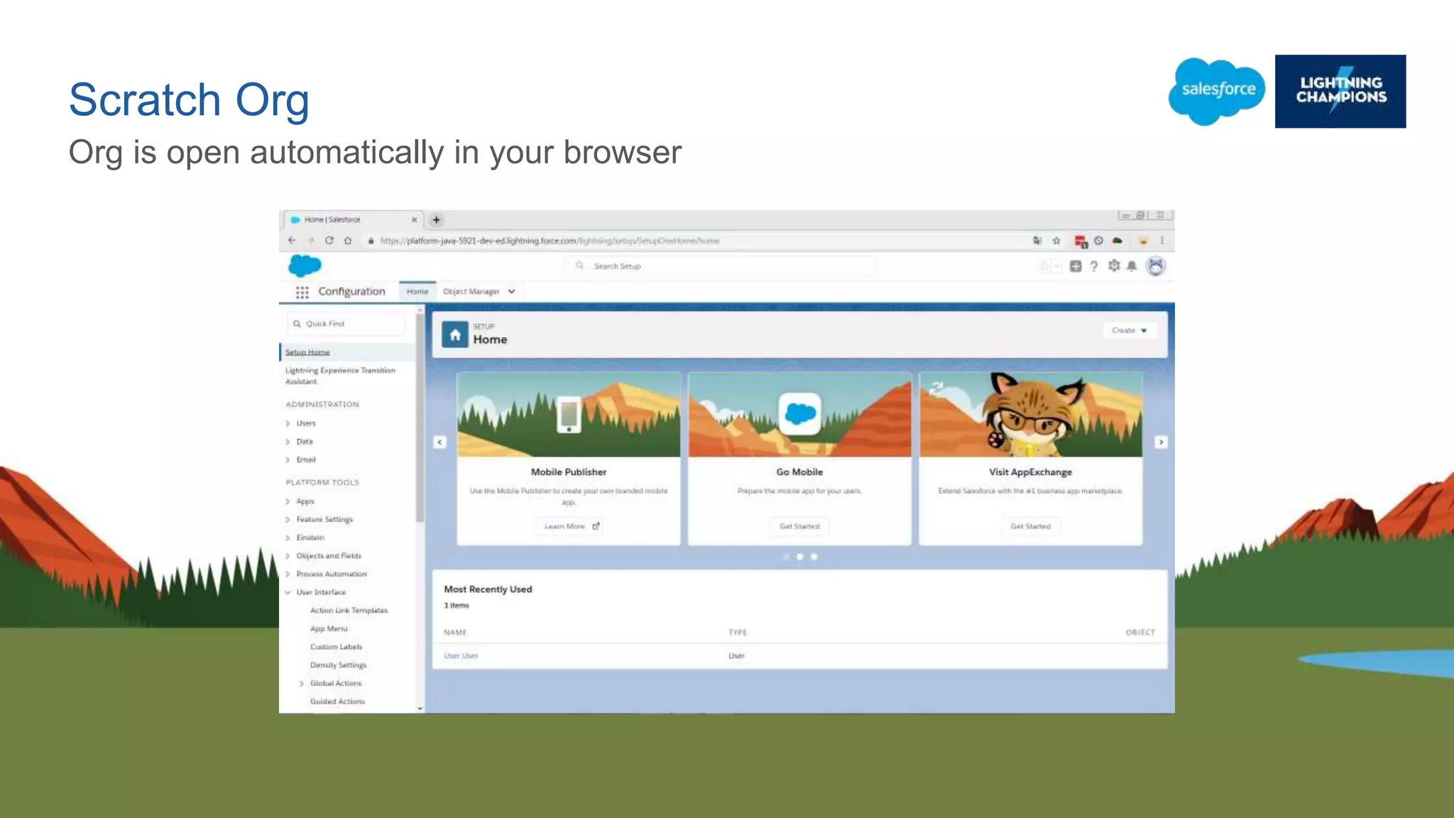 Scratch Org
Org is open automatically in your browser
 