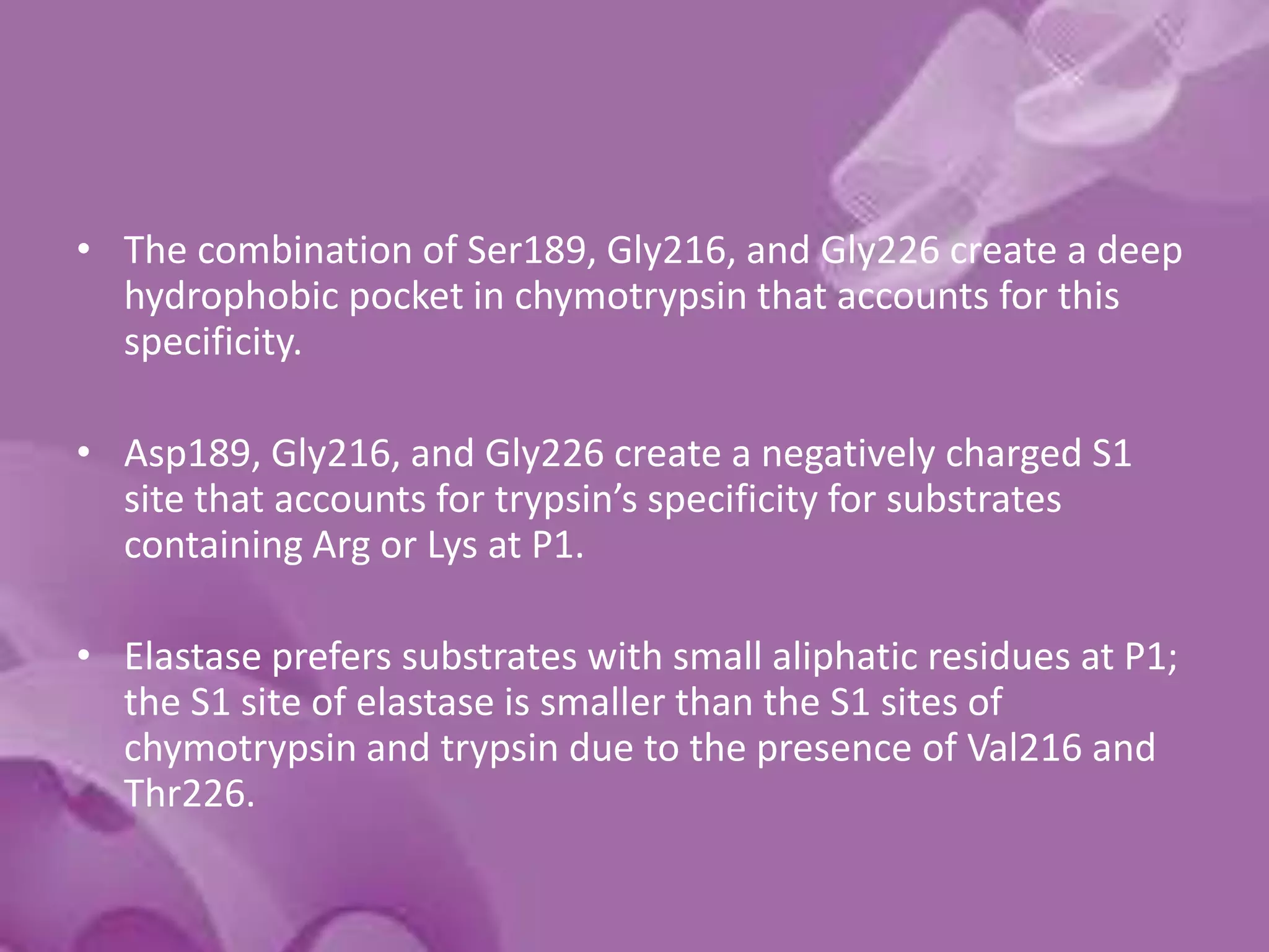 • The combination of Ser189, Gly216, and Gly226 create a deep
hydrophobic pocket in chymotrypsin that accounts for this
specificity.
• Asp189, Gly216, and Gly226 create a negatively charged S1
site that accounts for trypsin’s specificity for substrates
containing Arg or Lys at P1.
• Elastase prefers substrates with small aliphatic residues at P1;
the S1 site of elastase is smaller than the S1 sites of
chymotrypsin and trypsin due to the presence of Val216 and
Thr226.
 