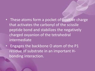 • These atoms form a pocket of positive charge
that activates the carbonyl of the scissile
peptide bond and stabilizes the negatively
charged oxyanion of the tetrahedral
intermediate
• Engages the backbone O atom of the P1
residue of substrate in an important H-
bonding interaction.
 
