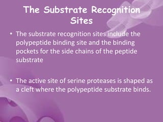 The Substrate Recognition
Sites
• The substrate recognition sites include the
polypeptide binding site and the binding
pockets for the side chains of the peptide
substrate
• The active site of serine proteases is shaped as
a cleft where the polypeptide substrate binds.
 