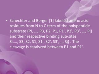 • Schechter and Berger [1] labeled amino acid
residues from N to C term of the polypeptide
substrate (Pi, ..., P3, P2, P1, P1', P2', P3', ..., Pj)
and their respective binding sub-sites
Si,..., S3, S2, S1, S1', S2', S3',..., Sj) . The
cleavage is catalyzed between P1 and P1'.
 
