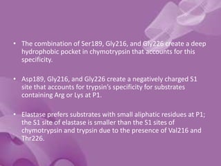 • The combination of Ser189, Gly216, and Gly226 create a deep
hydrophobic pocket in chymotrypsin that accounts for this
specificity.
• Asp189, Gly216, and Gly226 create a negatively charged S1
site that accounts for trypsin’s specificity for substrates
containing Arg or Lys at P1.
• Elastase prefers substrates with small aliphatic residues at P1;
the S1 site of elastase is smaller than the S1 sites of
chymotrypsin and trypsin due to the presence of Val216 and
Thr226.
 