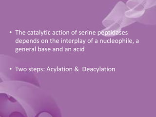 • The catalytic action of serine peptidases
depends on the interplay of a nucleophile, a
general base and an acid
• Two steps: Acylation & Deacylation
 