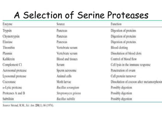 A Selection of Serine Proteases
 