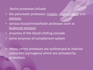 Serine proteases include:
• the pancreatic proteases: trypsin, chymotrypsin and
elastase,
• various tissue/intracellular proteases such as
leukocyte elastase
• enzymes of the blood clotting cascade
• some enzymes of complement system
• Many serine proteases are synthesized as inactive
precursors (zymogens) which are activated by
proteolysis
 