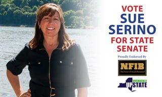 VOTE 
SUE 
SERINO 
FOR STATE 
SENATE 
Proudly Endorsed By 
 