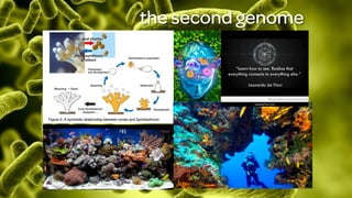 the second genome
 