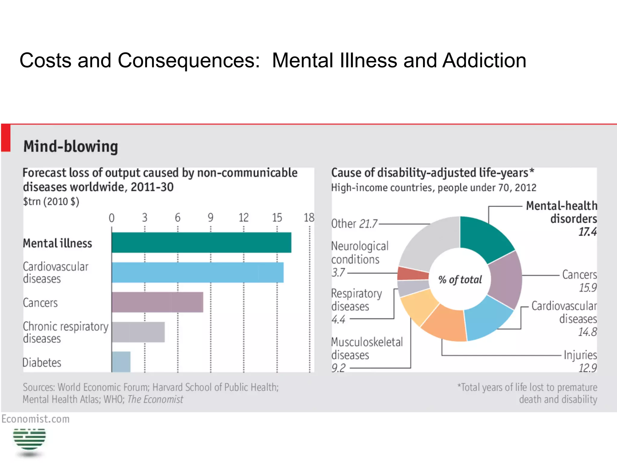 Costs and Consequences: Mental Illness and Addiction
 