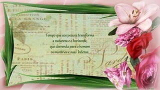 Tempo que aos poucos transforma
a natureza e o horizonte,
que desvenda para o homem
os mistérios e suas belezas.
 