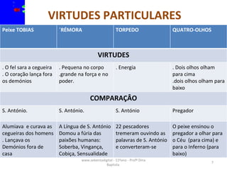 VIRTUDES PARTICULARES .  www.sebentadigital - 11ºano - Profª Dina Baptista  Peixe TOBIAS  ´RÉMORA TORPEDO QUATRO-OLHOS VIRTUDES . O fel sara a cegueira . O coração lança fora os demónios . Pequena no corpo .grande na força e no poder. . Energia  . Dois olhos olham para cima .dois olhos olham para baixo COMPARAÇÂO S. António.  S. António.  S. António Pregador Alumiava  e curava as cegueiras dos homens . Lançava os Demónios fora de casa A Língua de S. António Domou a fúria das paixões humanas: Soberba, Vingança, Cobiça, Sensualidade 22 pescadores tremeram ouvindo as palavras de S. António e converteram-se O peixe ensinou o pregador a olhar para o Céu  (para cima) e para o Inferno (para baixo) 