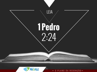 Estudo Bíblico 4 - O Plano da Redenção