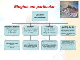Elogios em particular
Louvores
em particular

PEIXE DE TOBIAS

RÉMORA

TORPEDO

QUATRO-OLHOS

- o fel sara a cegueira;
o coração expulsa
os demónios;

-tão pequeno no corpo e
tão grande na força e
no poder;

-descarga eléctrica
que faz tremer
o braço do pescador;

-dois olhos voltados para cima
para se vigiarem das aves;
-dois olhos voltados para
baixo para se vigiarem dos
peixes.

"o fel era bom para curar da
cegueira";
"o coração para lançar fora os
demónios

"(...) se se pega ao leme de uma
nau da índia (...) a prende e
amarra mais que as mesmas
âncoras, sem se poder mover,
nem ir por diante."

"Está o pescador com a cana na
mão, o anzol no fundo e a bóia
sobre a água, e em lhe picando
na isca o torpedo, começa a lhe
tremer o braço. Pode haver
maior, mais breve e mais
admirável efeito?"

"e como têm inimigos no mar e
inimigos no ar, dobrou-lhes a
natureza as sentinelas e deu-lhes
dois olhos, que direitamente
olhassem para cima, para se
vigiarem das aves, e outros dois que
direitamente olhassem para baixo,
para se vigiarem dos peixes."

 