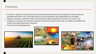 Funciones:
• Fomentar y organizar la producción económica del artesanado, de las artes populares y de las industrias
familiares del sector rural, con la participación que corresponda a otras dependencias o entidades.
• Elaborar, actualizar y difundir un banco de proyectos y oportunidades de inversión en el sector rural.
• Organizar y mantener al corriente los estudios económicos sobre la vida rural, con objeto de establecer los
medios y procedimientos para mejorarla.
• Fomentar la actividad pesquera.
 