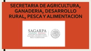 SECRETARIA DE AGRICULTURA,
GANADERIA, DESARROLLO
RURAL, PESCAY ALIMENTACION
 