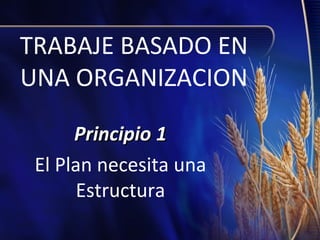 TRABAJE BASADO EN
UNA ORGANIZACION
Principio 1
El Plan necesita una
Estructura

 