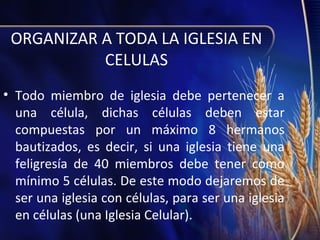 ORGANIZAR A TODA LA IGLESIA EN
CELULAS
• Todo miembro de iglesia debe pertenecer a
una célula, dichas células deben estar
compuestas por un máximo 8 hermanos
bautizados, es decir, si una iglesia tiene una
feligresía de 40 miembros debe tener como
mínimo 5 células. De este modo dejaremos de
ser una iglesia con células, para ser una iglesia
en células (una Iglesia Celular).

 