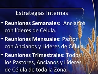 Estrategias Internas
• Reuniones Semanales: Ancianos
con líderes de Célula.
• Reuniones Mensuales: Pastor
con Ancianos y Líderes de Célula.
• Reuniones Trimestrales: Todos
los Pastores, Ancianos y Líderes
de Célula de toda la Zona.

 